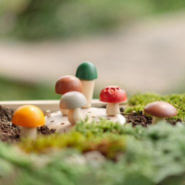 PlanToys 森林採菇趣