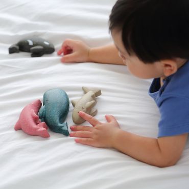 PLAN TOYS 蔚藍海洋四寶