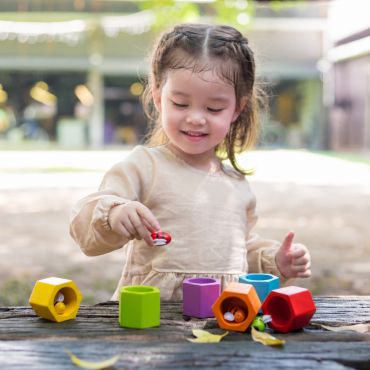 PLAN TOYS 彩虹蜜蜂找窩趣