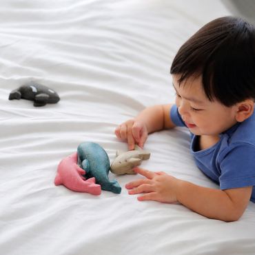 PLAN TOYS 蔚藍海洋四寶