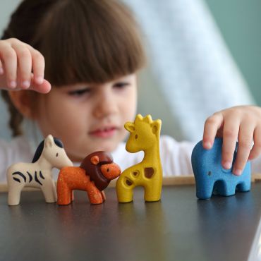 PLAN TOYS 原野探險四寶