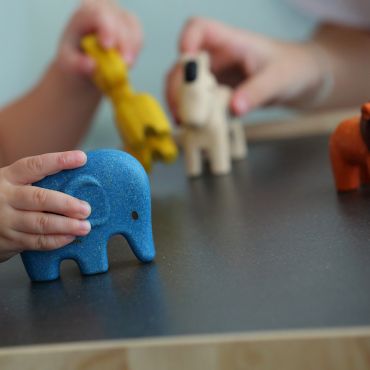 PLAN TOYS 原野探險四寶